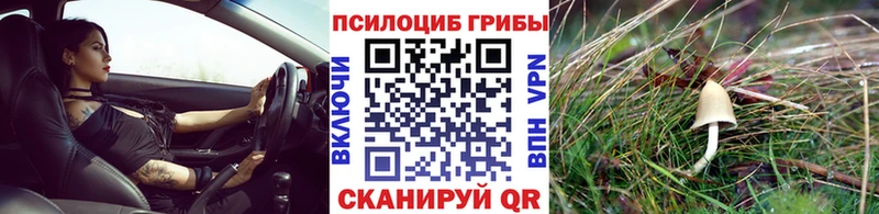 площадка формула Почеп Галлюциногенные грибы GOLDEN TEACHER ОМГ ОМГ зеркало